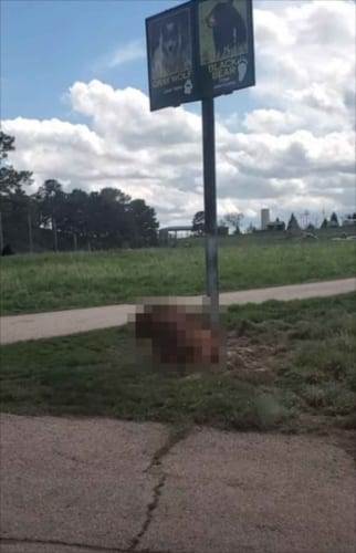 これ以上の説得力はない！看板の下に、看板の意味を伝える『とある動物』の姿が！笑えるダンスまで披露