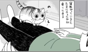 【漫画】幸せだけど・・・ちょっと辛い。体に乗ってきた時のニャンコあるあるに共感の声が続々と!