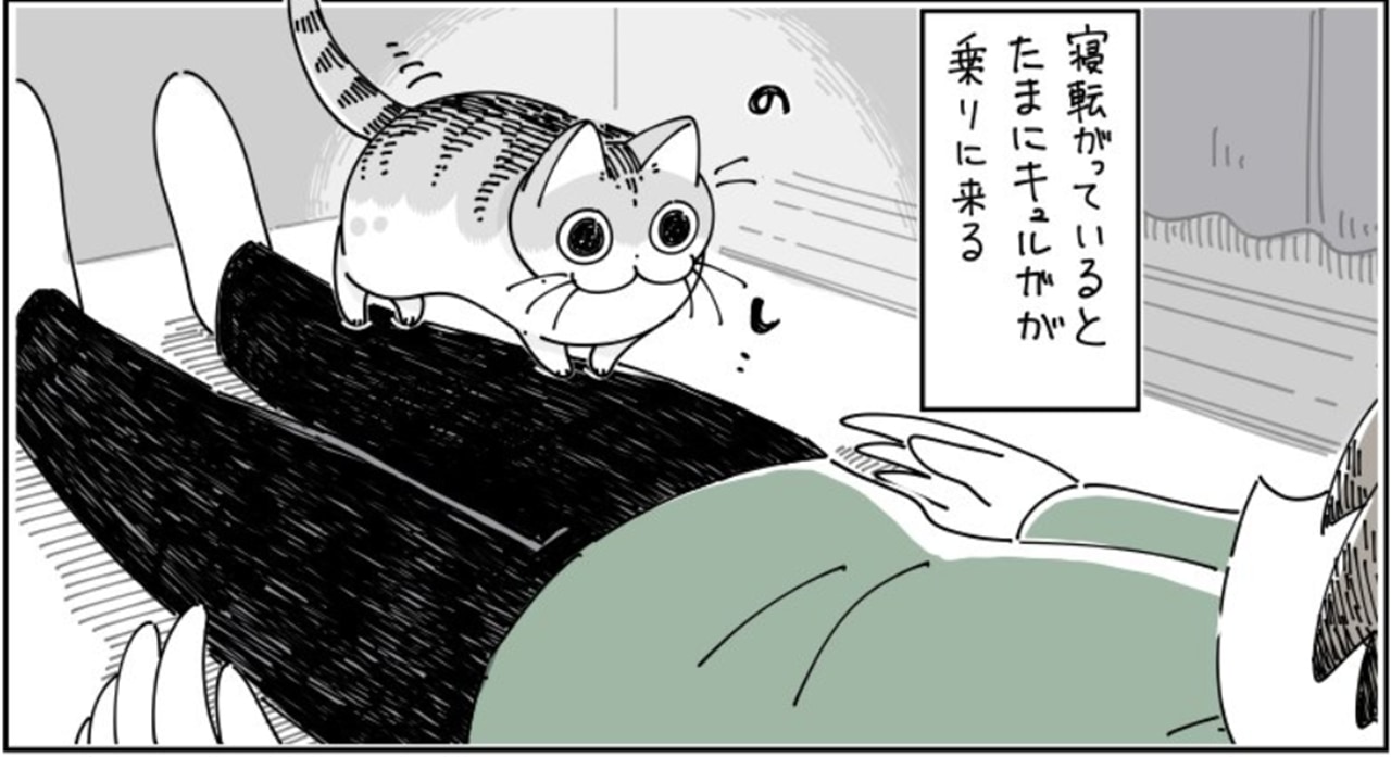 【漫画】幸せだけど・・・ちょっと辛い。体に乗ってきた時のニャンコあるあるに共感の声が続々と！