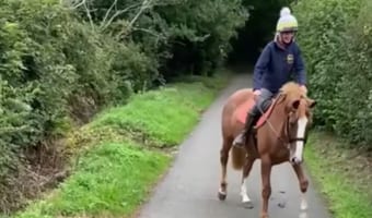 馬「ナニコレ！？めっちゃ怖いんですけどー！！」地面を横切る『あるもの』にビビるお馬さんがかわいい