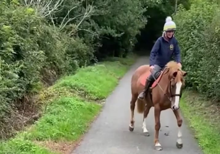 馬「ナニコレ！？めっちゃ怖いんですけどー！！」地面を横切る『あるもの』にビビるお馬さんがかわいい