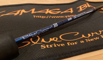 アジング必須タックル！！竿（ロッド）選びの疑問解決