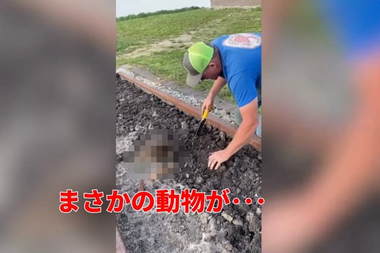 「耕すのはまかせて♪」庭仕事をお手伝いする『かわいい助っ人』はまさかの動物だった！