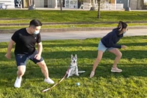 「どっちも選べないよおおお」パパとママ、どちらへ駆けて行くか決められなくて困惑するワンコが愛おしい