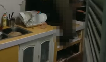 そんなことあるの?!真夜中に壁を突き破る音が・・・。住人が台所に駆けつけると、そこにはまさかの動物が!!