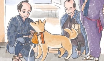 飼い主に代わって犬が参拝の旅をしていた?!江戸時代にいた「こんぴら狗」がTwitterで話題に