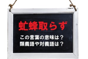 「虻蜂取らず」とはどういう意味？類義語に対義語もご紹介！