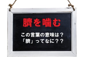 「臍を噛む」とはどんな感情を意味するの？「臍（ほぞ）」とはどこのこと？