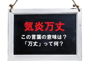 「気炎万丈」とはどんな意味？「万丈」とはなんのこと？「気焔万丈」と表記したら間違い？