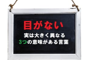「目がない」、大きく異なる3つの意味で用いることができる言葉