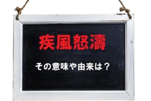 「疾風怒濤」とはどんな意味の言葉？その由来にはドイツが関係しているとはどういうこと？