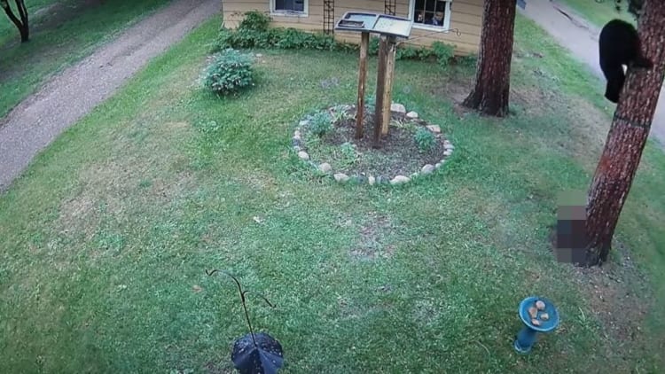 「こわいよ～！」庭にあらわれたクマ。『ある存在』にビビって木の上に一気に駆けのぼる