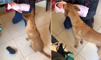 【熱烈歓迎】新しく増えた家族に「やったあああ！」とばかりに興奮が抑えきれずに挨拶するワンコ