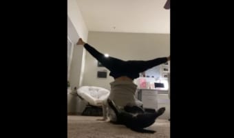 飼い主さんと息がぴったり!?見よう見まねでヨガに挑戦するワンコの姿がかわいらしい