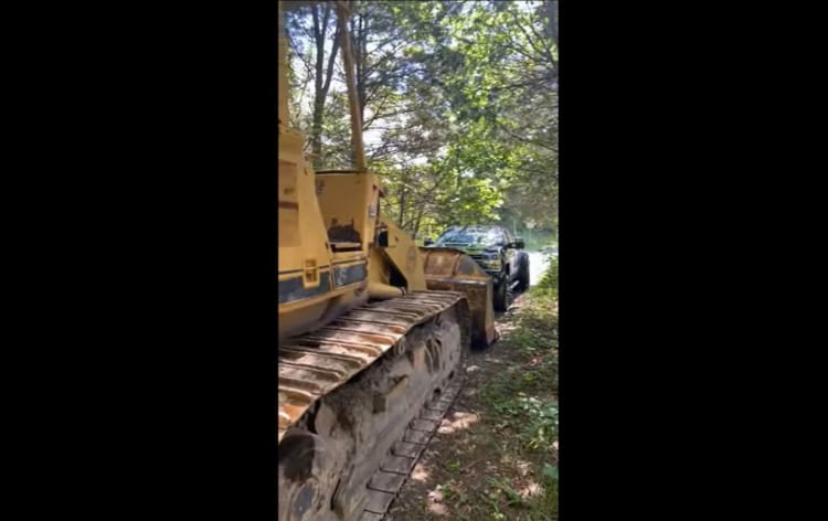 舗装されていない道の途中で停まる車、それは予想外の「かわいい存在」が理由だった！