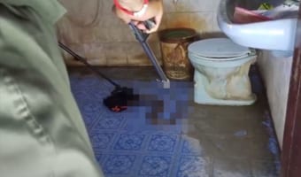 自宅のトイレに行ったら『トンデモナイ』生物が侵入していた！無事に捕獲なるか！？