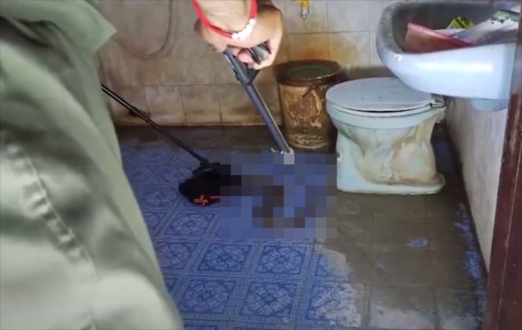 自宅のトイレに行ったら『トンデモナイ』生物が侵入していた！無事に捕獲なるか！？