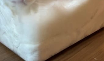 まるでパン生地みたい!「フタをして発酵させてます」というその容器の中身とは?!