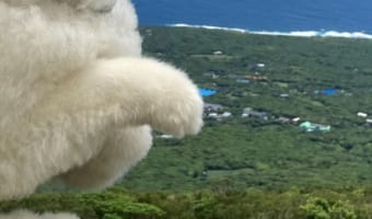 絶景をバックに愛犬を撮影したら雑なコラ画像みたいなおもしろ写真が撮れたよ！