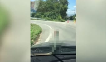 なぜ此処にいるの？！フロントガラスに張り付いていたのは、まさかの･･･