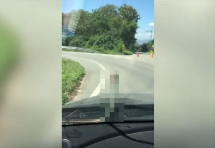 なぜ此処にいるの？！フロントガラスに張り付いていたのは、まさかの･･･