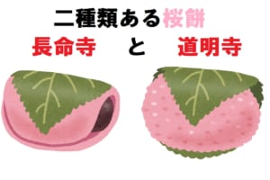 桜餅には関東の「長命寺」と関西の「道明寺」があるけど、その違いはなに？どちらが古いの？