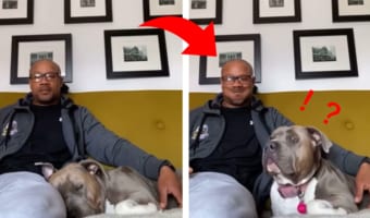 爆睡中のワンコが目覚める魔法のワード「〇〇〇」とは?ワンコの反応に癒される