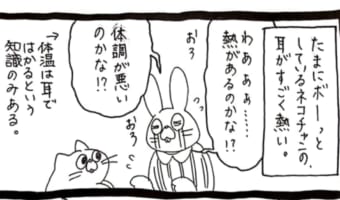 【漫画】ネコちゃんの耳が熱い！心配して病院に連れていった結果・・・まさかの理由でした！