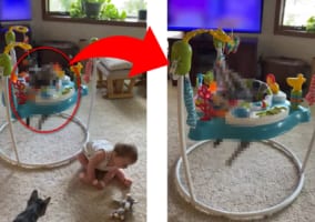 赤ちゃん用に購入したジャンパルー。しかし、これを一番喜んだのは赤ちゃんではなかったようです