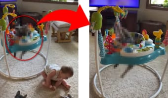 赤ちゃん用に購入したジャンパルー。しかし、これを一番喜んだのは赤ちゃんではなかったようです