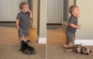 「ねえねえ、おなかナデナデして！」と仰向けになる子犬と、何かに夢中でワンコが視界にも入っていない赤ちゃんによるかわいくも切ないすれ違い