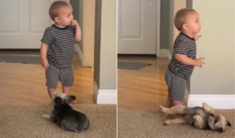 「ねえねえ、おなかナデナデして!」と仰向けになる子犬と、何かに夢中でワンコが視界にも入っていない赤ちゃんによるかわいくも切ないすれ違い
