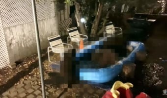 家族でナイトプールを堪能しに来たのは、なんと・・・『あの動物』でした!