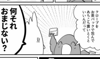 【漫画】フォロワーを信じろ！Twitterで見た『G対策』を信用しない夫にムッとして今年はやらなかった結果・・・