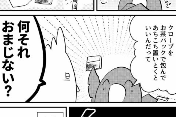 【漫画】フォロワーを信じろ！Twitterで見た『G対策』を信用しない夫にムッとして今年はやらなかった結果・・・