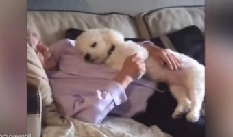 犬が好きではなかったおじいちゃん、一緒に暮らし始めてその気持ちが変化した様子を孫が撮影