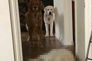 違うんですよ、ダレてるんじゃないんです・・・。みんながダッシュで廊下を走るのをやめさせようと思ってですね・・・