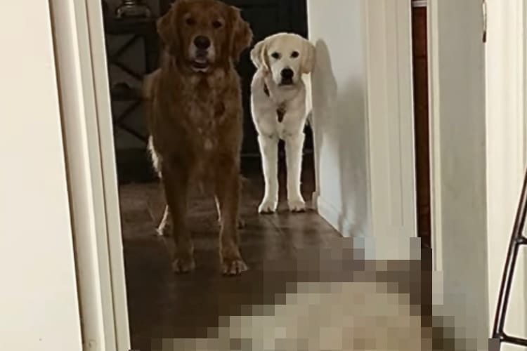 違うんですよ、ダレてるんじゃないんです・・・。みんながダッシュで廊下を走るのをやめさせようと思ってですね・・・