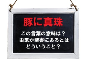 ことわざ「豚に真珠」とはどんな意味？その由来は聖書にある？？
