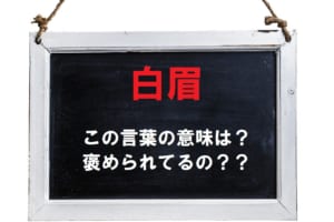 「白眉」とはどんな意味の言葉？言われたら喜んでいい？