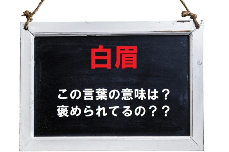 「白眉」とはどんな意味の言葉？言われたら喜んでいい？