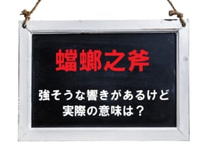 スゴく強そうな雰囲気のある「蟷螂之斧（蟷螂の斧）」とはどんな意味？