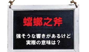 スゴく強そうな雰囲気のある「蟷螂之斧（蟷螂の斧）」とはどんな意味？