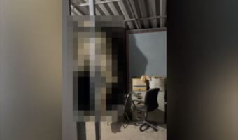 こんなことあるの！？家にトンデモナイ巨大な訪問客がやってきた！