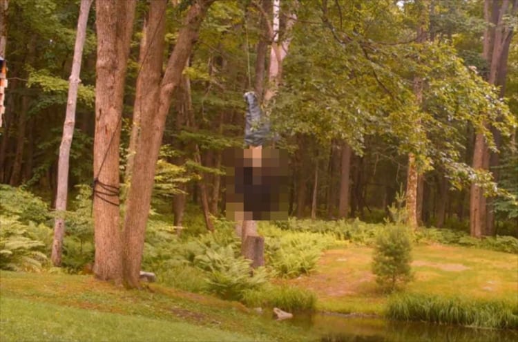 鳥のエサ箱にサルがぶら下がっていると思ったら・・・『あの』動物だった！意外と身軽なのね！？