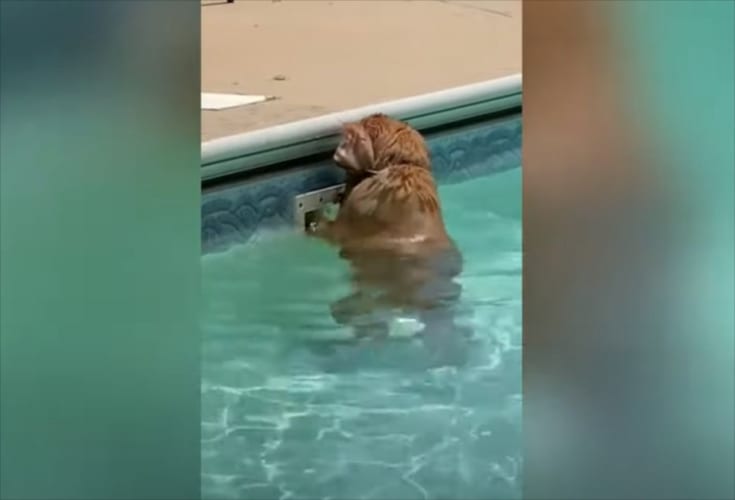 プールの排水溝に大切なものが吸い込まれちゃったみたい！必死に取ろうとするのですが