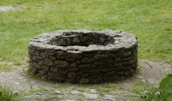 井戸に転落したニャンコ、その救出劇に息を飲む！