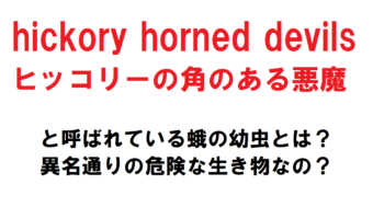 【閲覧注意】巨大なヤママユガの一種の幼虫、「hickory horned devils」と悪魔と付く異名があるだけにその姿が実に悪魔的！