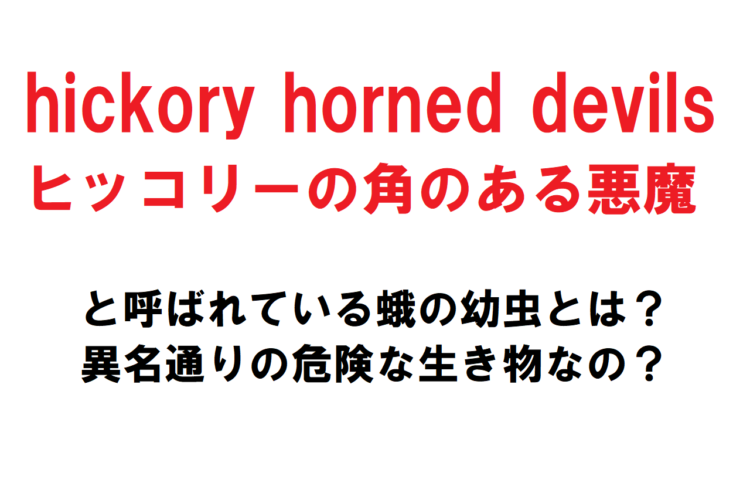 【閲覧注意】巨大なヤママユガの一種の幼虫、「hickory horned devils」と悪魔と付く異名があるだけにその姿が実に悪魔的！