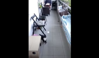 プロのサッカー選手顔負け？！驚愕の胸トラップを披露するも・・・着地は壮大に失敗してしまいました～